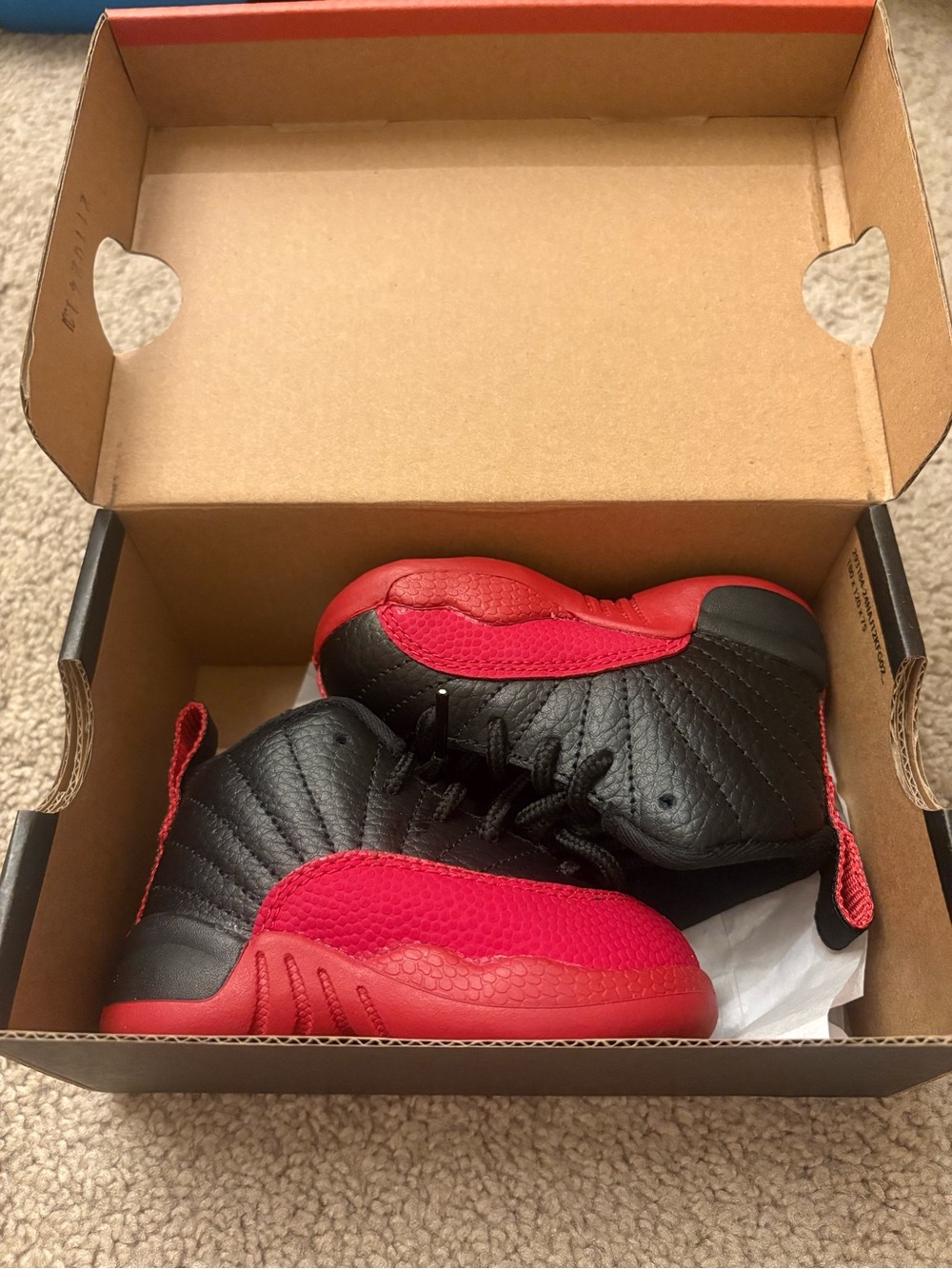 Toddler Jordan Retro 12